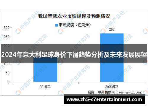 2024年意大利足球身价下滑趋势分析及未来发展展望