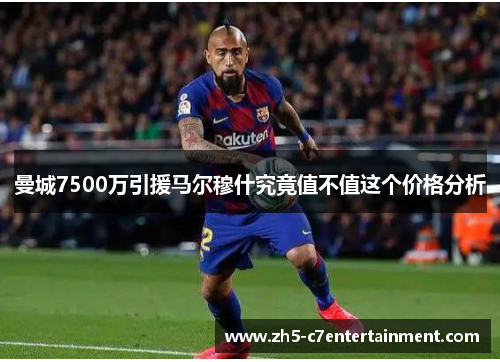 曼城7500万引援马尔穆什究竟值不值这个价格分析