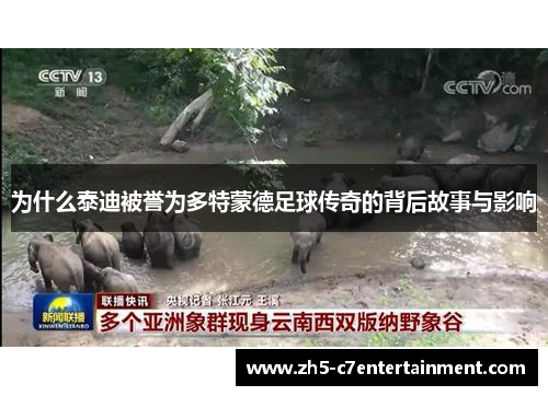 为什么泰迪被誉为多特蒙德足球传奇的背后故事与影响