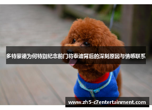 多特蒙德为何特别纪念前门将泰迪背后的深刻原因与情感联系