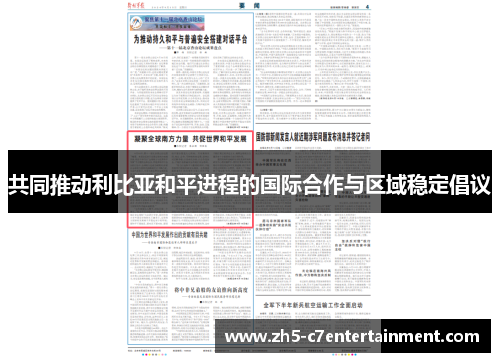 共同推动利比亚和平进程的国际合作与区域稳定倡议