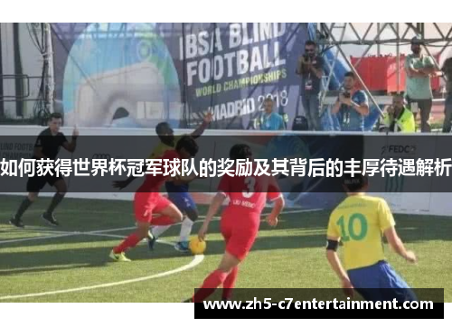 如何获得世界杯冠军球队的奖励及其背后的丰厚待遇解析