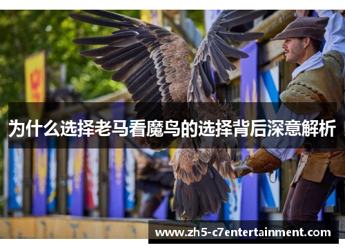 为什么选择老马看魔鸟的选择背后深意解析