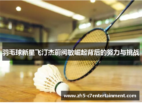 羽毛球新星飞汀杰蔚阀敏崛起背后的努力与挑战