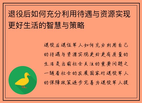 退役后如何充分利用待遇与资源实现更好生活的智慧与策略