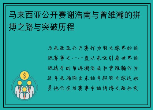 马来西亚公开赛谢浩南与曾维瀚的拼搏之路与突破历程